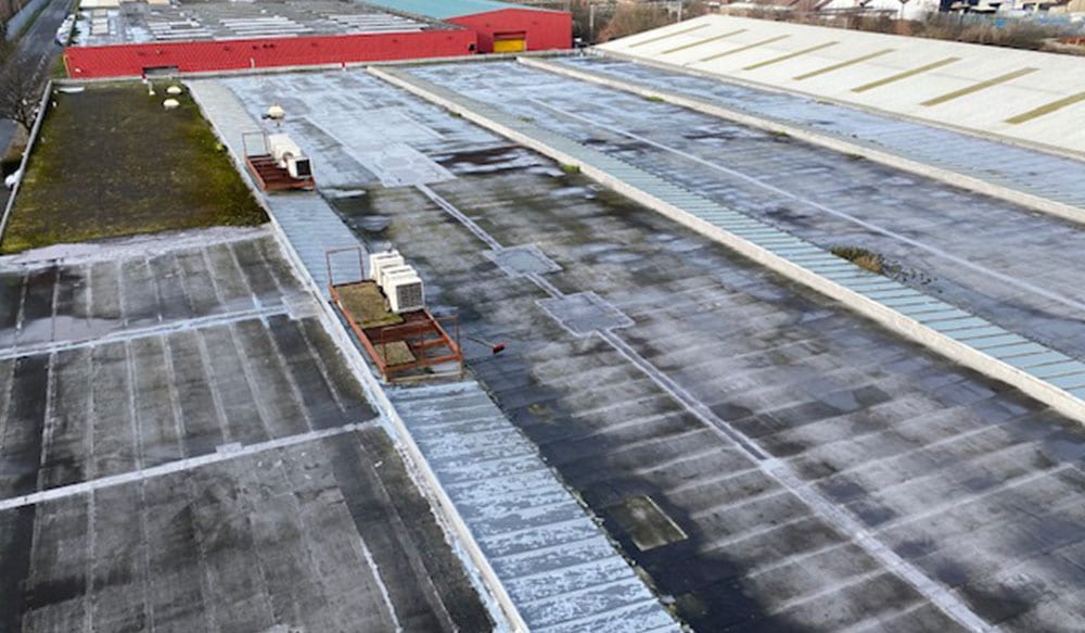 Roof Management-Survey